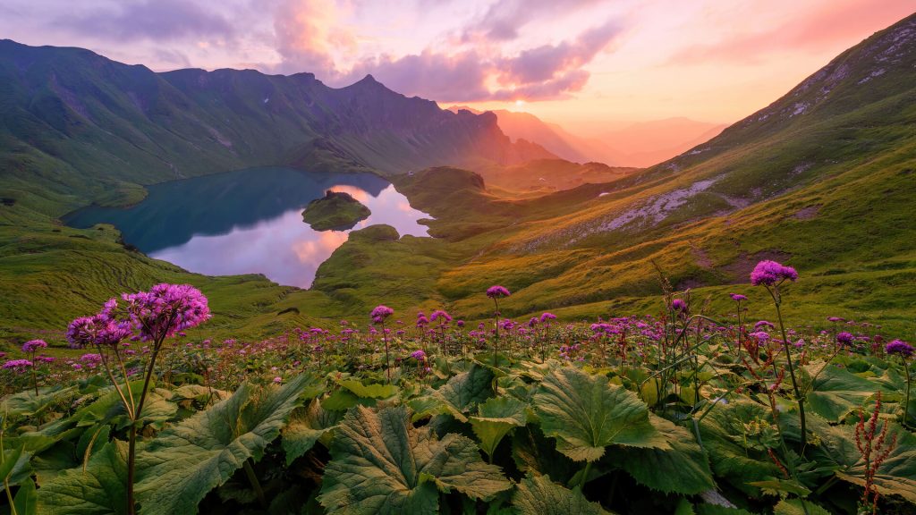 mountain-lake-sunset-flower-field-nature-scenery-hd-wallpaper-1080