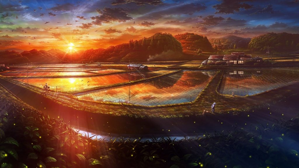 sunset-paddy-field-nature-scenery-landscape-anime-1080