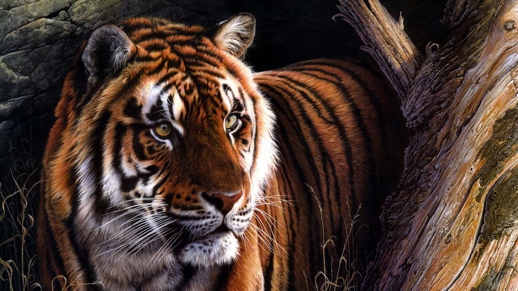 tiger-animal-art-1080